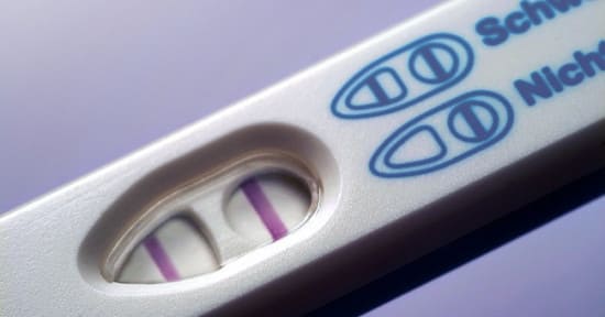 Как выглядит положительный тест на беременность