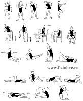 Упражнения для паховых мышц