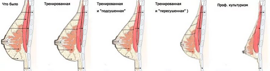 Как накачать грудь в домашних условиях?