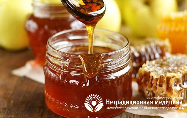 чем полезен гречишный мед