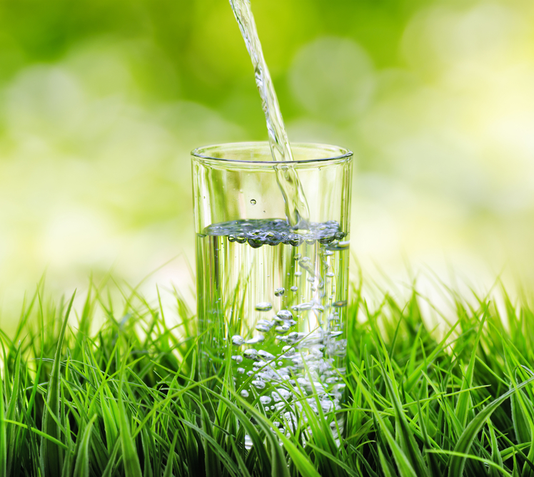 Glass of water on nature background