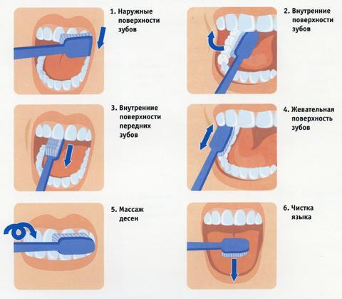 как чистить зубы