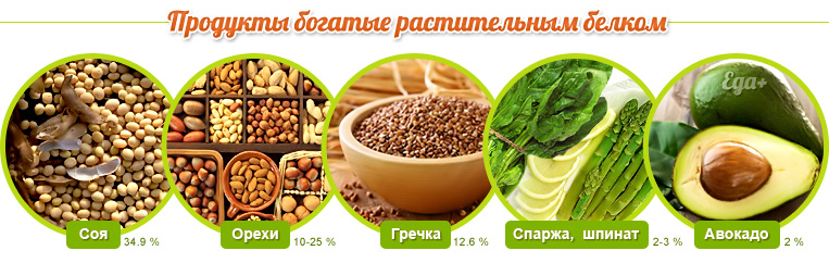 Продукты богатые растительным белком