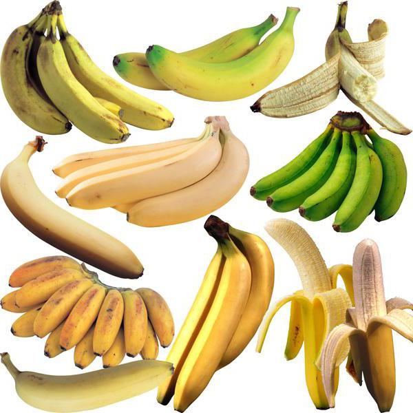 какие бананы кормовые