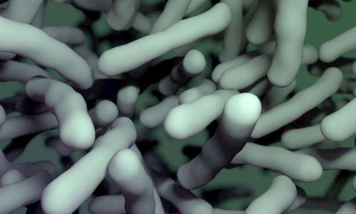 механизм действия антибиотиков на микробную клетку