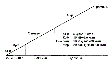 vremya-i-tip-energii