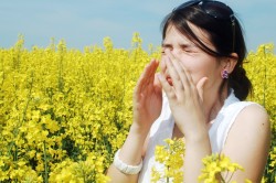 Аллергия - причина кольпита