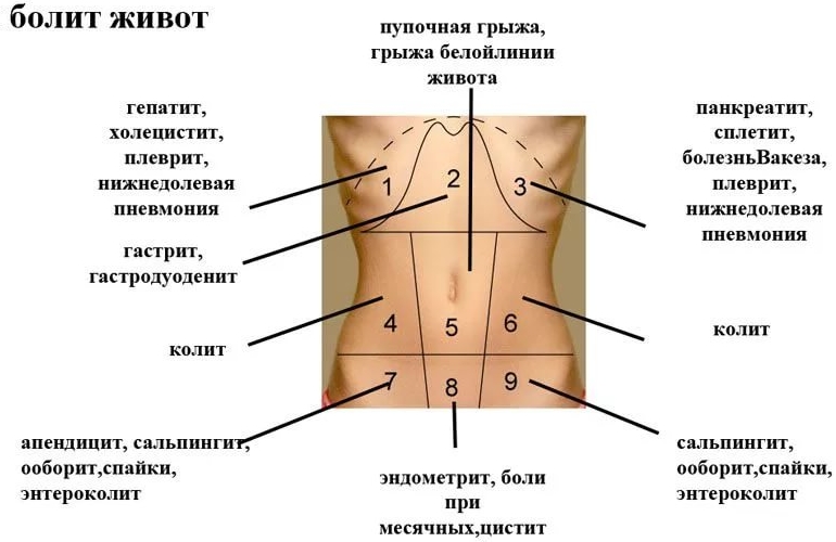 Почему болит низ и левый бок внизу живота у женщины