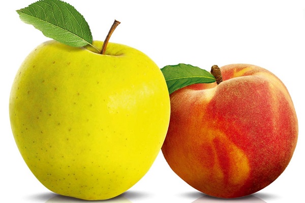 свойства яблок для организма