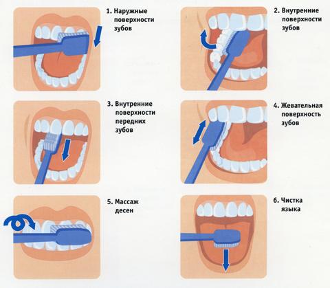 Основательная чистка зубов
