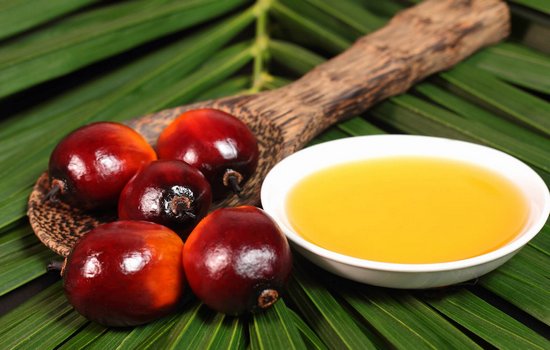 Пальмовое масло: вред и польза