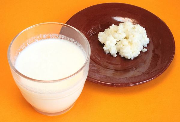 грибок молочный на тарелке и стакан с кефиром