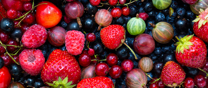 Самые полезные ягоды для похудения