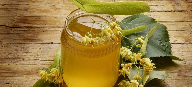 Липовый мед лечебные свойства и противопоказания
