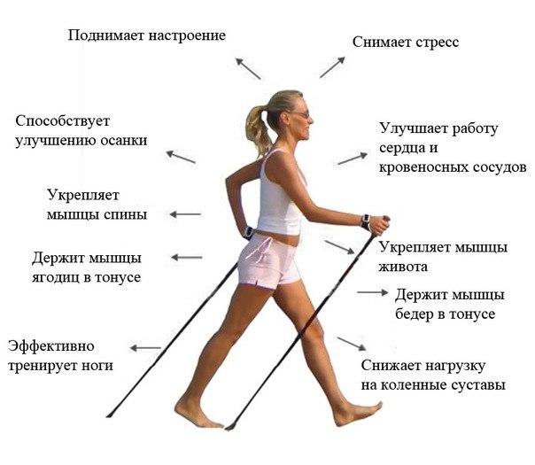 Скандинавская ходьба с палками