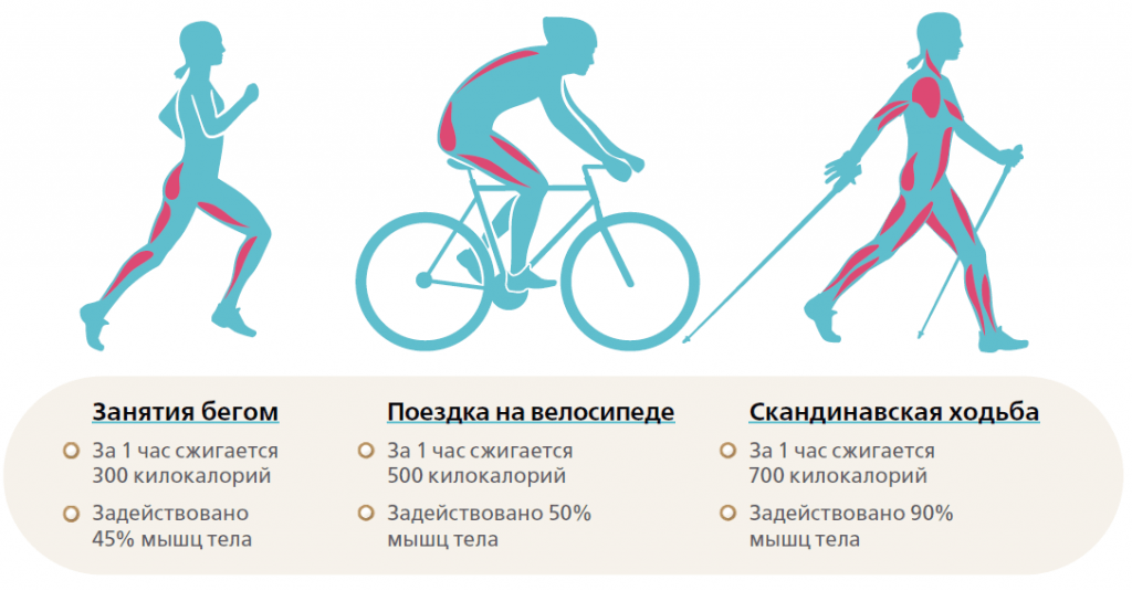 Скандинавская ходьба с палками