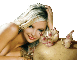 Лечение картофелем, цветками и ростками картофеля