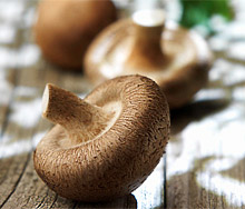 Все о грибах. Пищевая ценность грибов. Первая помощь при отравлении грибами. Как избежать отравлений грибами