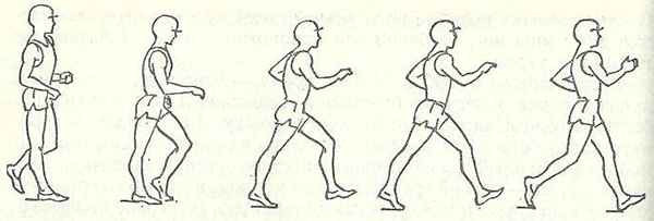Техника спортивной ходьбы