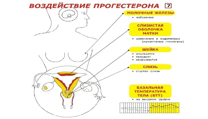 Прогестерон