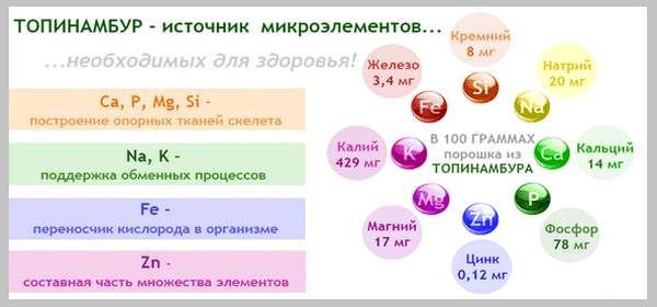 Топинамбур состав 