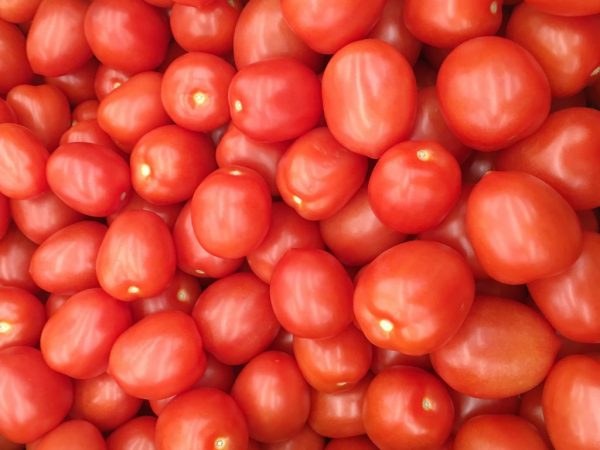 Содержание витаминов в помидорах