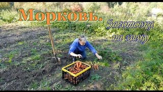 Заготовка моркови на зиму. Видео рецепты от бабки (Борисовны)