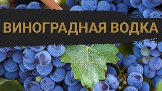 Рецепт виноградной водки в домашних условиях (граппа, чача)