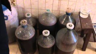Изготовление виноградного вина в домашних условиях от Михаила Левадного