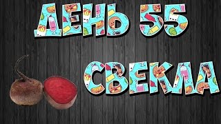 Свекольная диета для похудения: отзывы и результаты