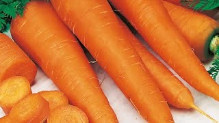 Заготовка моркови на зиму в домашних условиях