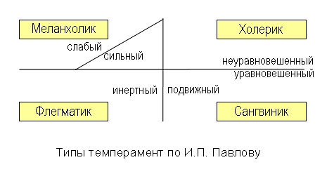 типы темперамента по Павлову