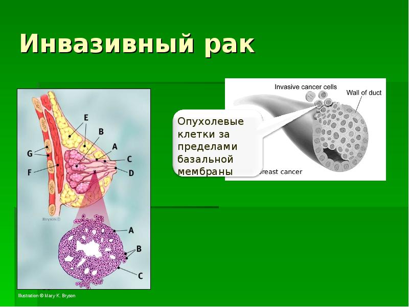 Схема