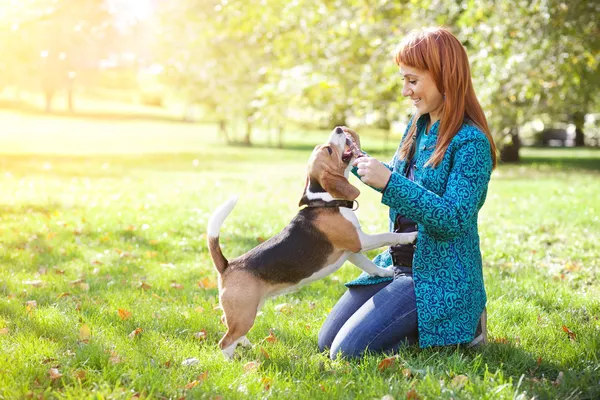 Девочка играет со своей собакой в Осенний парк — стоковое фото