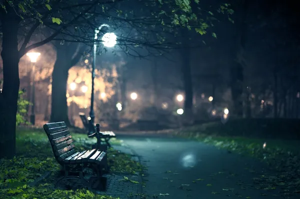 Ночь в парке — стоковое фото