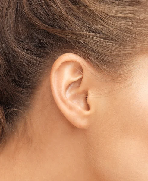 Крупным планом женская уха — стоковое фото