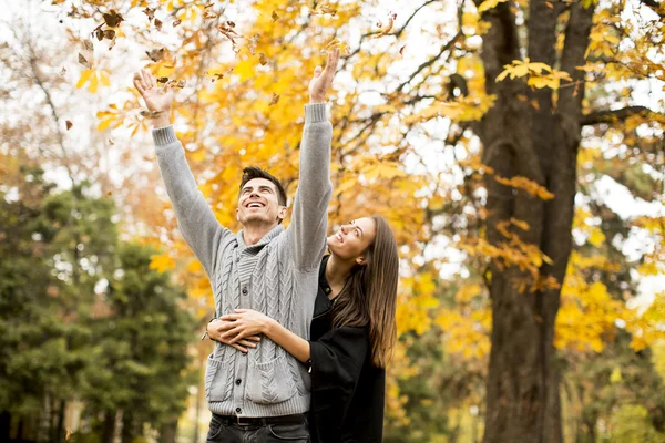 Пара в Осенний парк — стоковое фото