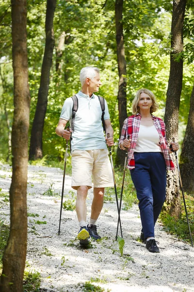 Активные Пожилые супружеские пары, наслаждаясь нордической ходьбой — стоковое фото