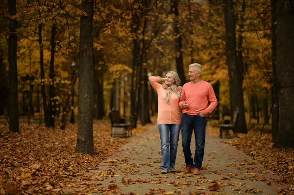 Пожилые пары в Осенний парк — стоковое фото