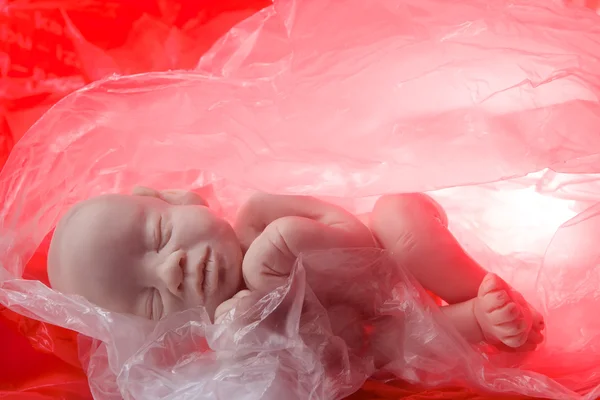 Эмбрион понятия, аборт — стоковое фото