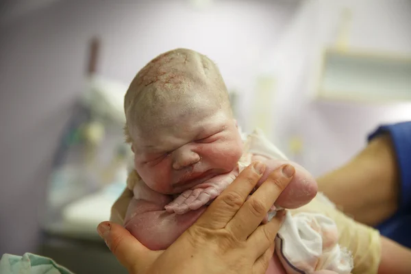 Акушерка, подняв vernix покрыты новорожденных — стоковое фото