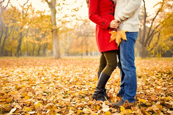 Романтика в осень в парке — стоковое фото