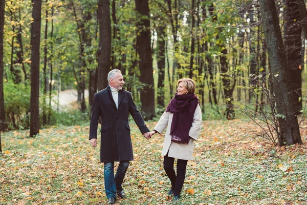 Пожилая пара, ходить в Осенний парк — стоковое фото
