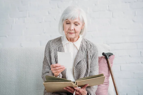 Portrait Grey Hair Lady Looking Photos Photo Album While Resting — стоковое фото