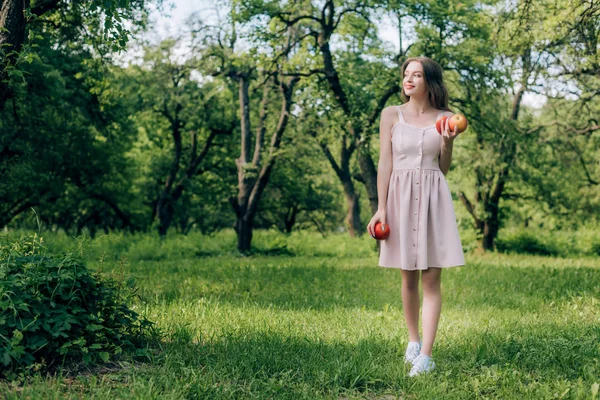 Улыбаясь Молодая Женщина Платье Спелые Яблоки Ходить Сельской Местности — стоковое фото