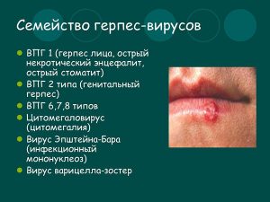 Семейство герпесвирусов