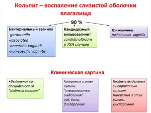 Особенности кольпита