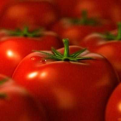 Почему вредны помидоры